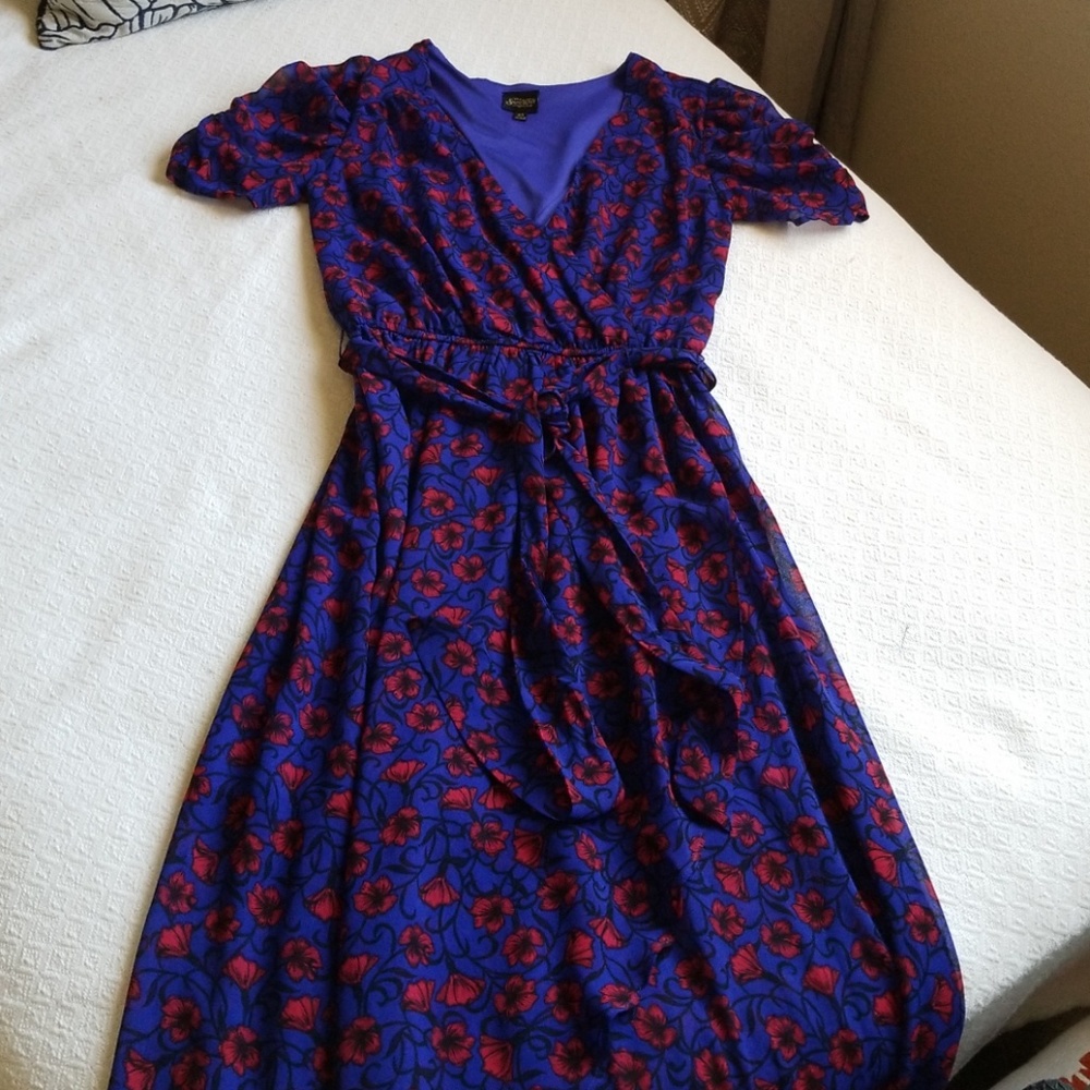 Snow White Princess Dress